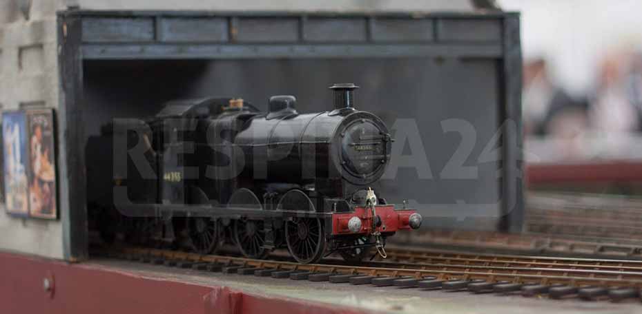 بلیط قطار تربت حیدریه  شاهرود - رسپینا 24